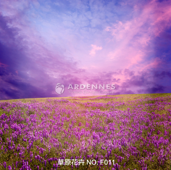 草原花卉F011